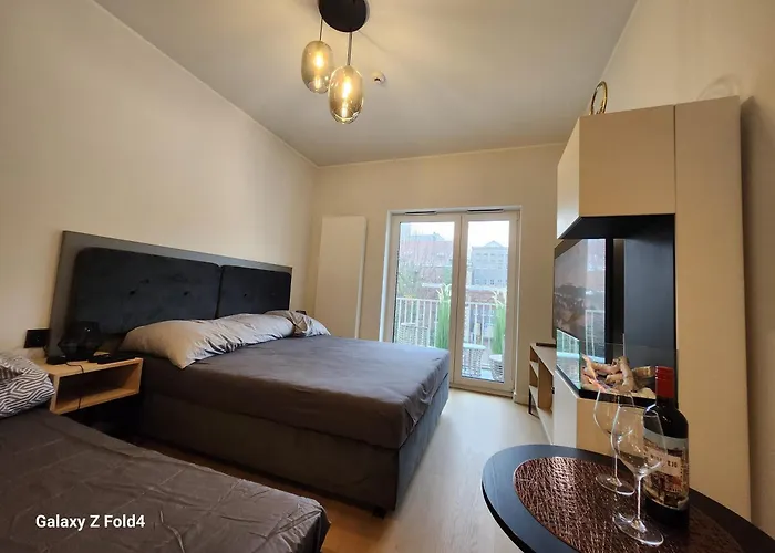 Urocze Gniazdko W Centrum Poznania Apartment